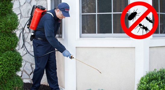Atakum Dezenfeksiyon böcek ilaçlama ve haşere kontrolü — ilaclama-tr.com
